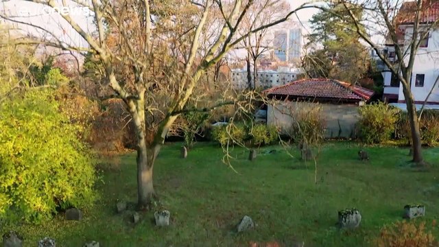 Объекты Иерусалима на Рейне вошли в список ЮНЕСКО