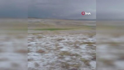 Ağrı'da aniden bastıran dolu çevreyi beyaza bürüdü