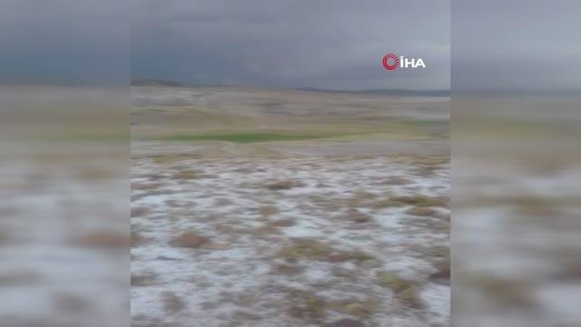 Ağrı'da aniden bastıran dolu çevreyi beyaza bürüdü