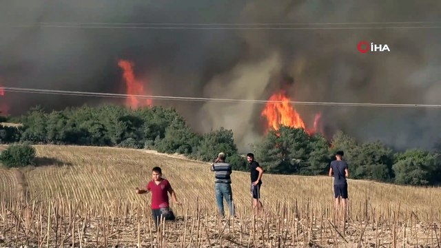 Orman yangınında dumanlar gökyüzünü kapladı