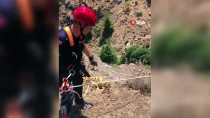 Manisa itfaiyesinden keçi operasyonu