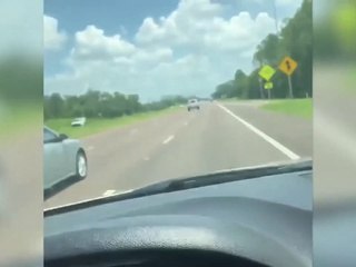 Télécharger la video: Il met mamie en fauteuil roulant dans le coffre du pick-up sur l'autoroute