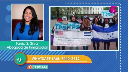 ¿Qué pasaría si el gobierno de Estados Unidos no renueva el TPS?