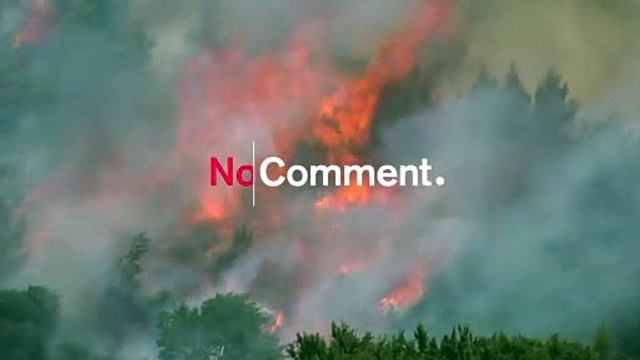 Villagers evacuated as firefighters combat wildfire in Peloponnese forests