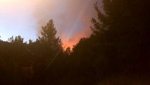 Kozan'da Kızlarsekisi bölgesinde orman yangını başladı