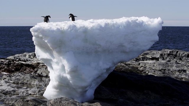 Scientists Urge Global Action As Earth Faces Climate Tipping Point
