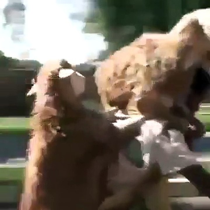 Oh my God this is Unbelievable