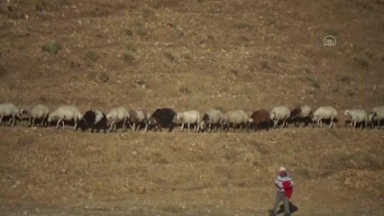ilkbahar mevsiminde yaylaya çıkan besiciler, köylerine dönmeye başladı