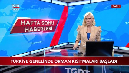 İstanbul'da Orman Yangını Tedbiri: 7 İlde Ormana Giriş Yasağı Geldi