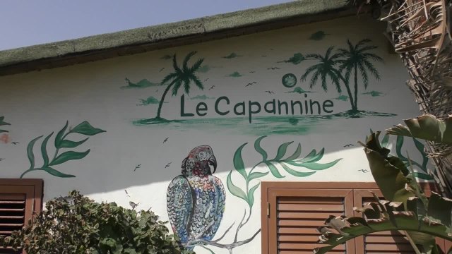 Incendi in Sicilia, duramente colpito il litorale Plaia a Catania