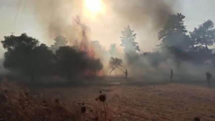 Milas'ta ormanlık alanda çıkan yangın kontrol altına alınmaya çalışılıyor