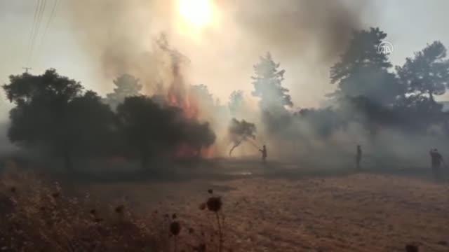 Milas'ta ormanlık alanda çıkan yangın kontrol altına alınmaya çalışılıyor