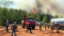 Vaga de calor dá combustível a incêndios florestais