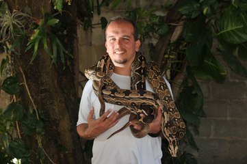 Animais exóticos criados como pets