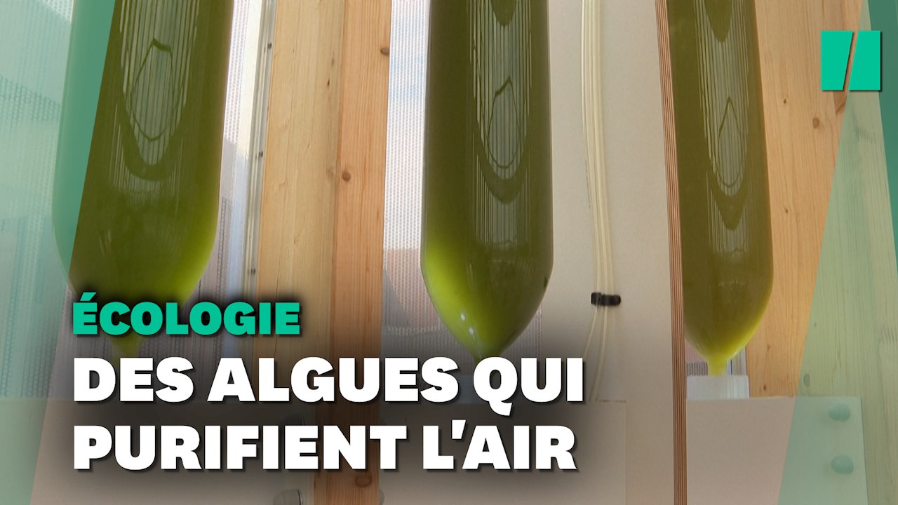 À Varsovie, une étonnante solution pour faire respirer de l'air pur aux enfants