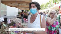 Les herbes de Provence vendues en France sont majoritairement cultivées à l'étranger
