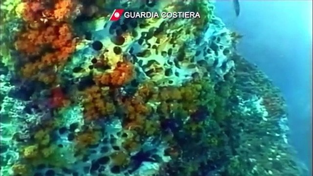 Castellamare di Stabia, arrestati 18 bracconieri del mare per disastro ambientale