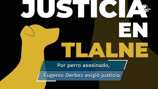 Exigen justicia por perro que murió a golpes en Tlalnepantla; llaman a marcha