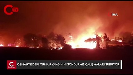 Osmaniye’deki orman yangınını söndürme çalışmaları sürüyor
