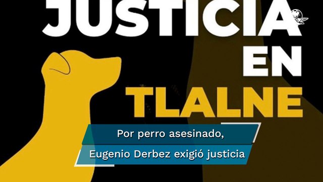 Exigen justicia por perro que murió a golpes en Tlalnepantla; llaman a marcha