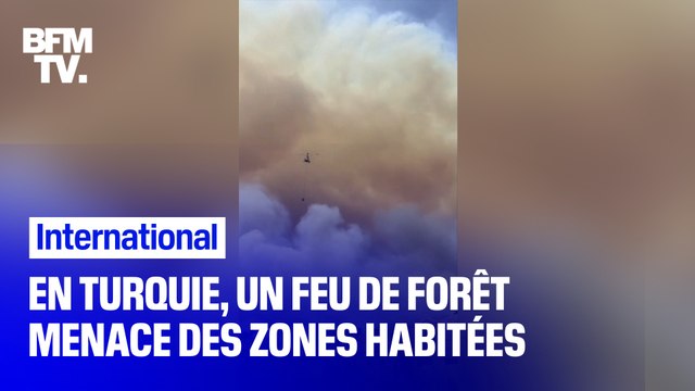 En Turquie, un feu de forêt menace des habitations