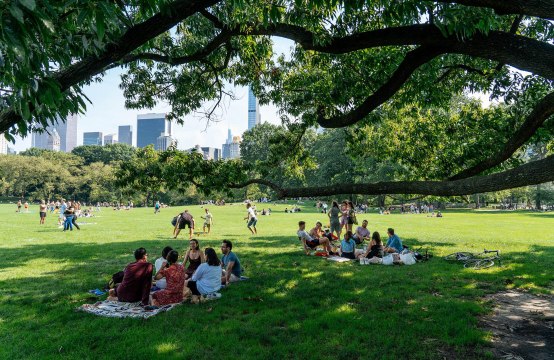 NYC Is Reopening With an Epic Concert Featuring Bruce Springsteen, LL Cool J, and Many More