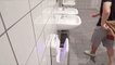 These Public Restrooms Have Been Nominated As the Best in America — Vote for the Winner He