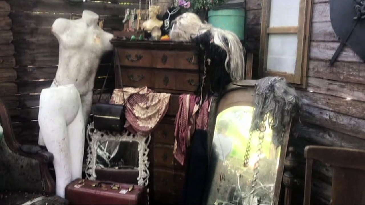 Theme Park Views 2019 Petrified Forest Trail Walk