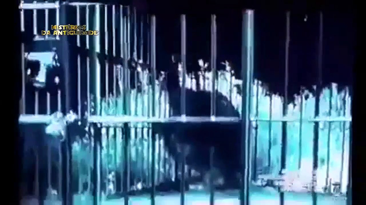 Vídeo de um suposto Pé Grande Capturado e Censurado pelo The History Channel