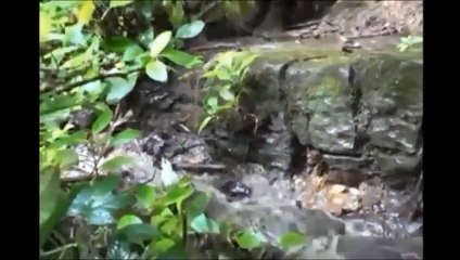 Arqueologia Proibida Reescrevendo a História