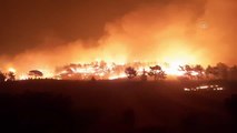 Akseki ilçesinde orman yangını çıktı