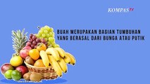 Jangan Salah, Ini Bedanya Sayur dengan Buah-buahan, Apa Saja?