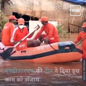 Dog Rescued By NDRF Team From Rooftop Of Hotel In Flood-Hit Kolhapur