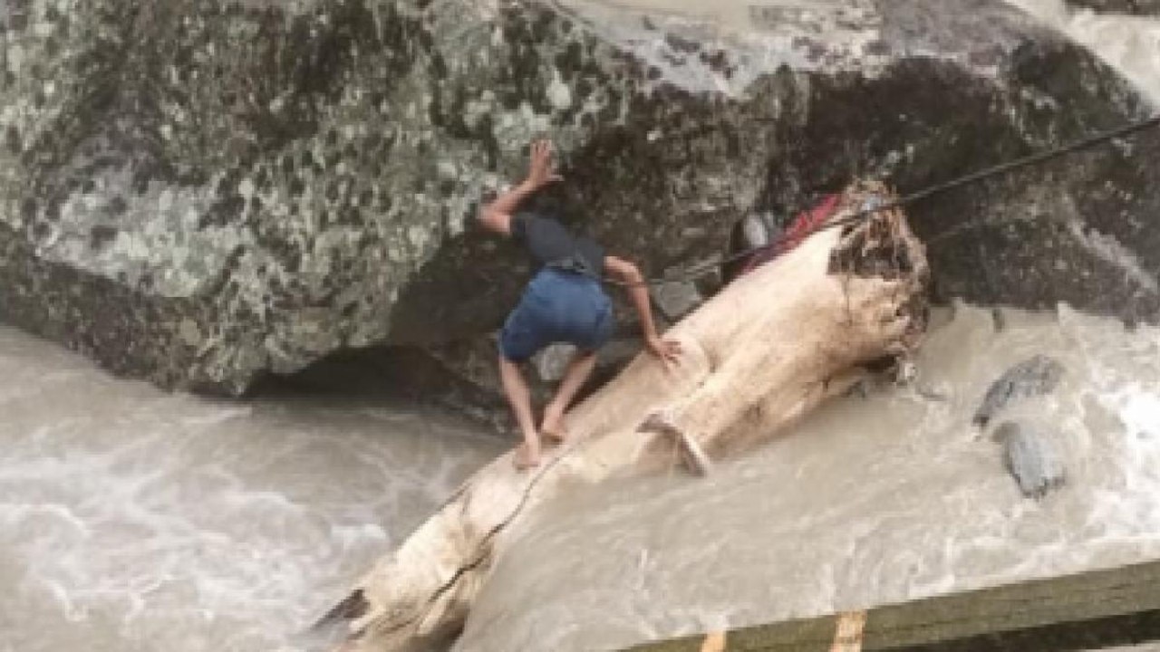 Himachal Pradesh: Man stuck in roaring water in...