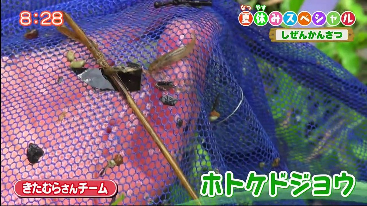それいけ！アンパンマンくらぶ  2021年07月29日 P2