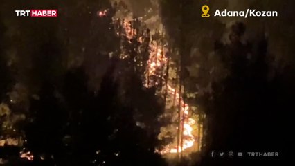 Adana'daki orman yangını nedeniyle 5 köy tahliye edildi