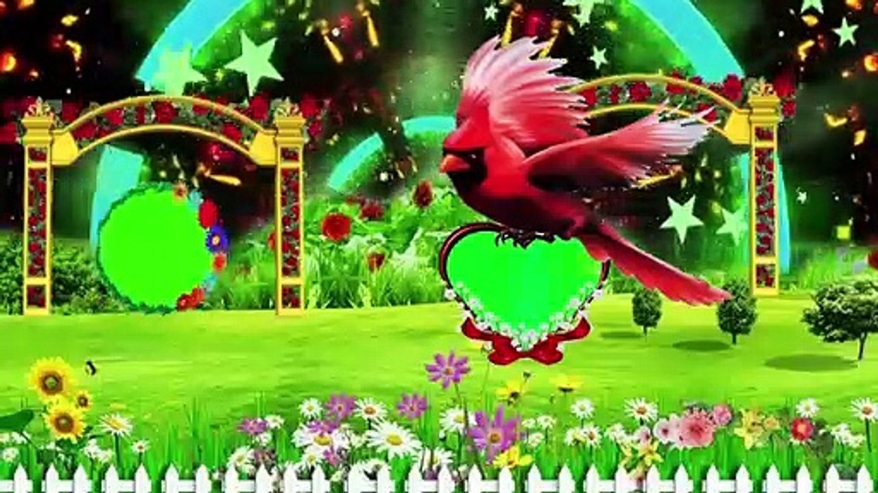 Wedding green screen Effects HD Video 37/Dil photo frame Very Beautiful New green photo frame hd