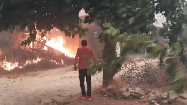 Manavgat ve Akseki'deki orman yangınları - Karaöz mahallesi