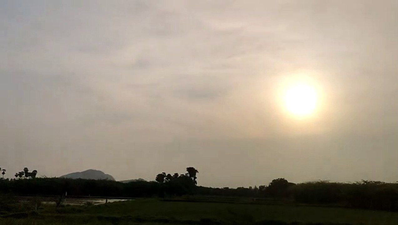 nature