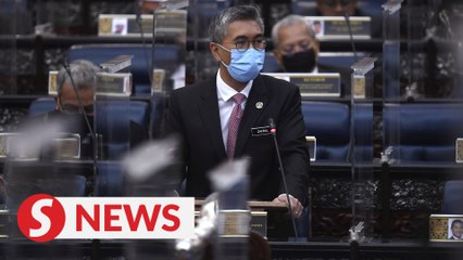 Zafrul: Projection for 2021 GDP to be revealed in August