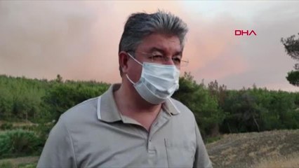 Son dakika... OSMANİYE'DE ORMAN YANGINI
