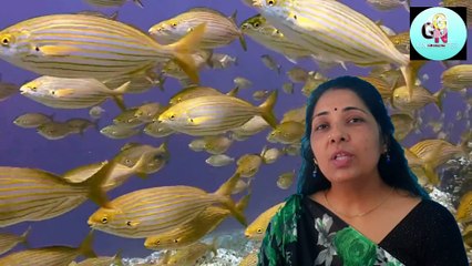Ghar se nikalne se pahily kar le yah kaam|| aapki manokaamna puri hogi||