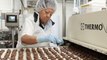 See's Candies is celebrating its 100th year in business. See how the famed brand makes 26 million pounds of candy each year.