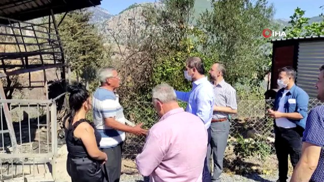 Kozan'daki yangında inekler telef oldu