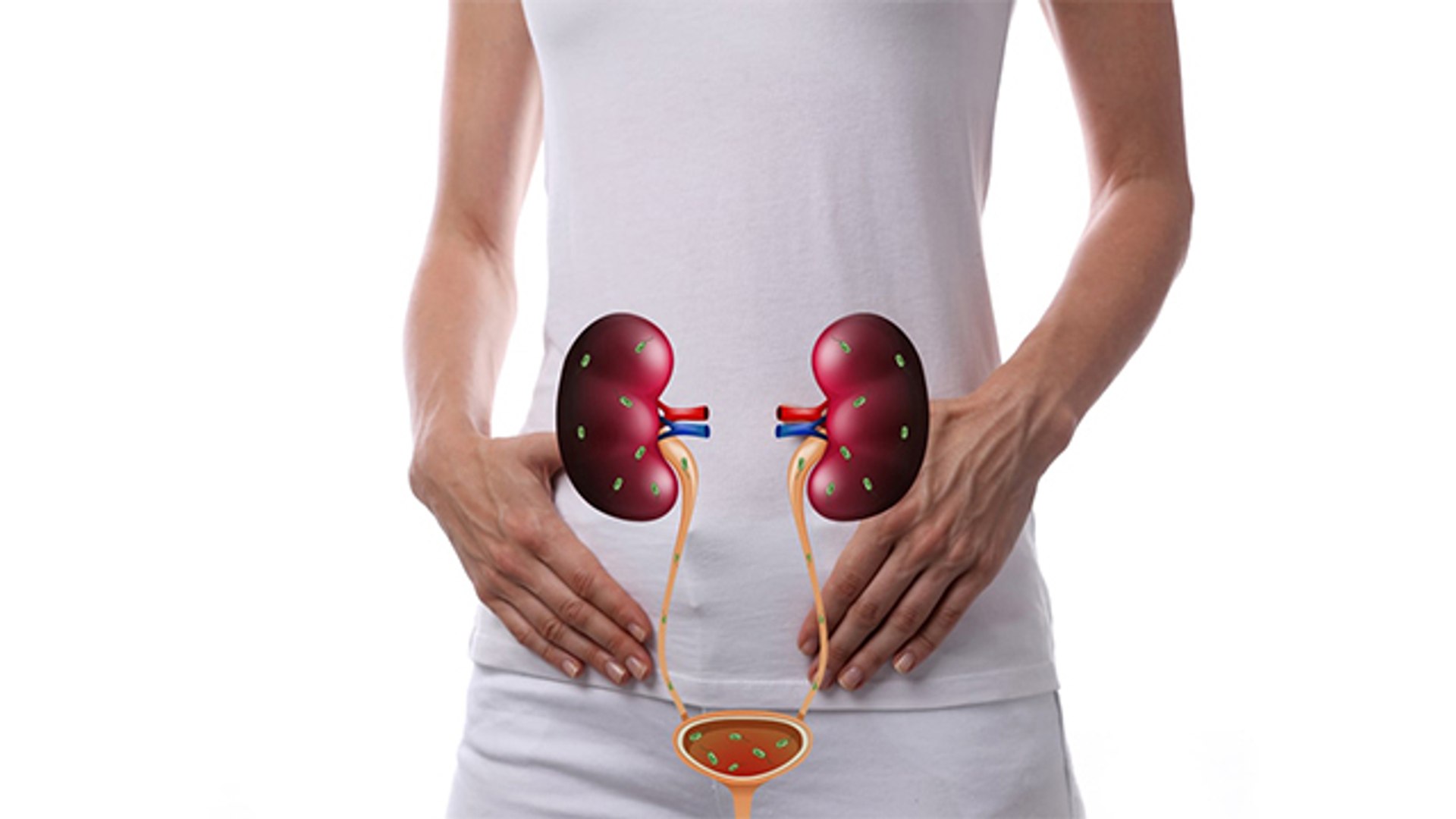 ⁣Kidney में सूजन में Problems इन कारणों से होती है,जानें लक्षण और इलाज । Boldsky