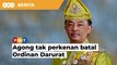 Agong tak perkenan kerajaan batal Ordinan Darurat, kata Istana Negara