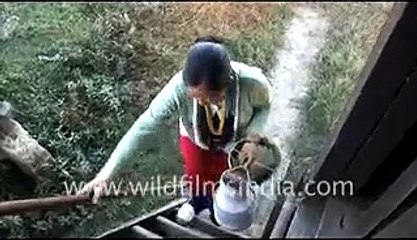 March of the Apatanis Part I