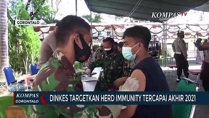 Download Video: Dinkes Gorontalo Targetkan Herd Immunity Tercapai Akhir 2021