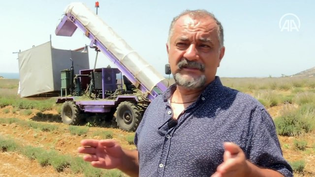 Lavanta hasadı için işçi bulmakta zorlanan hekim, hasat makinesi geliştirdi