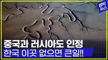 [엠빅뉴스] [엠빅네이처] 한국의 이곳은 지구에서 가장 중요한 곳! 